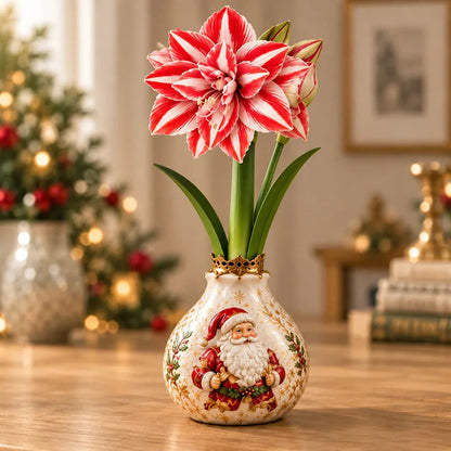 🎄🌺 Holiday Waxed Amaryllis Bulbs – No Soil, No Water, Just Watch Them Bloom
