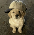 Jake R.