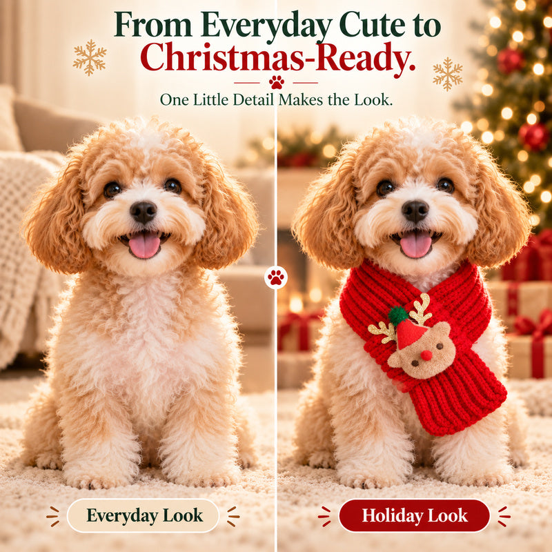 🎄 Christmas Knit Pet Scarf for Cats & Dogs | Cute Holiday Neckwear