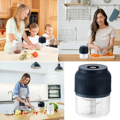 Mini Electric Food Processor for Meat, Garlic, Onion & Vegetables